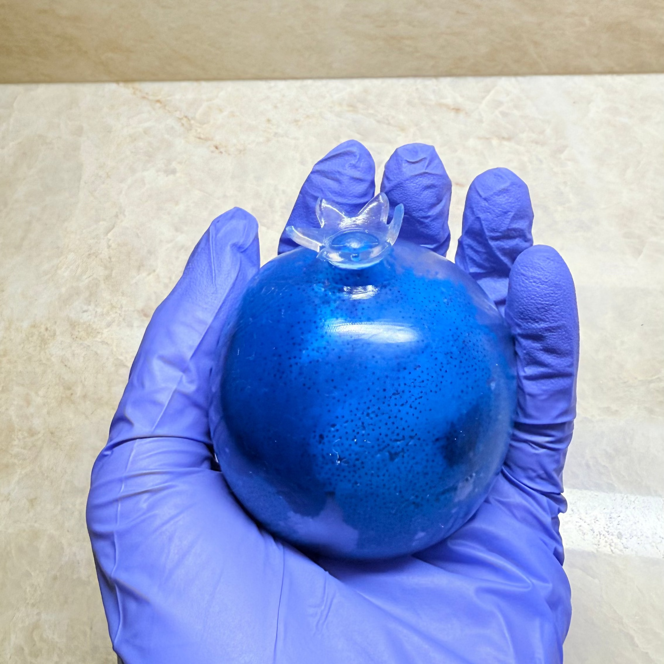 Blue Berry Squishy