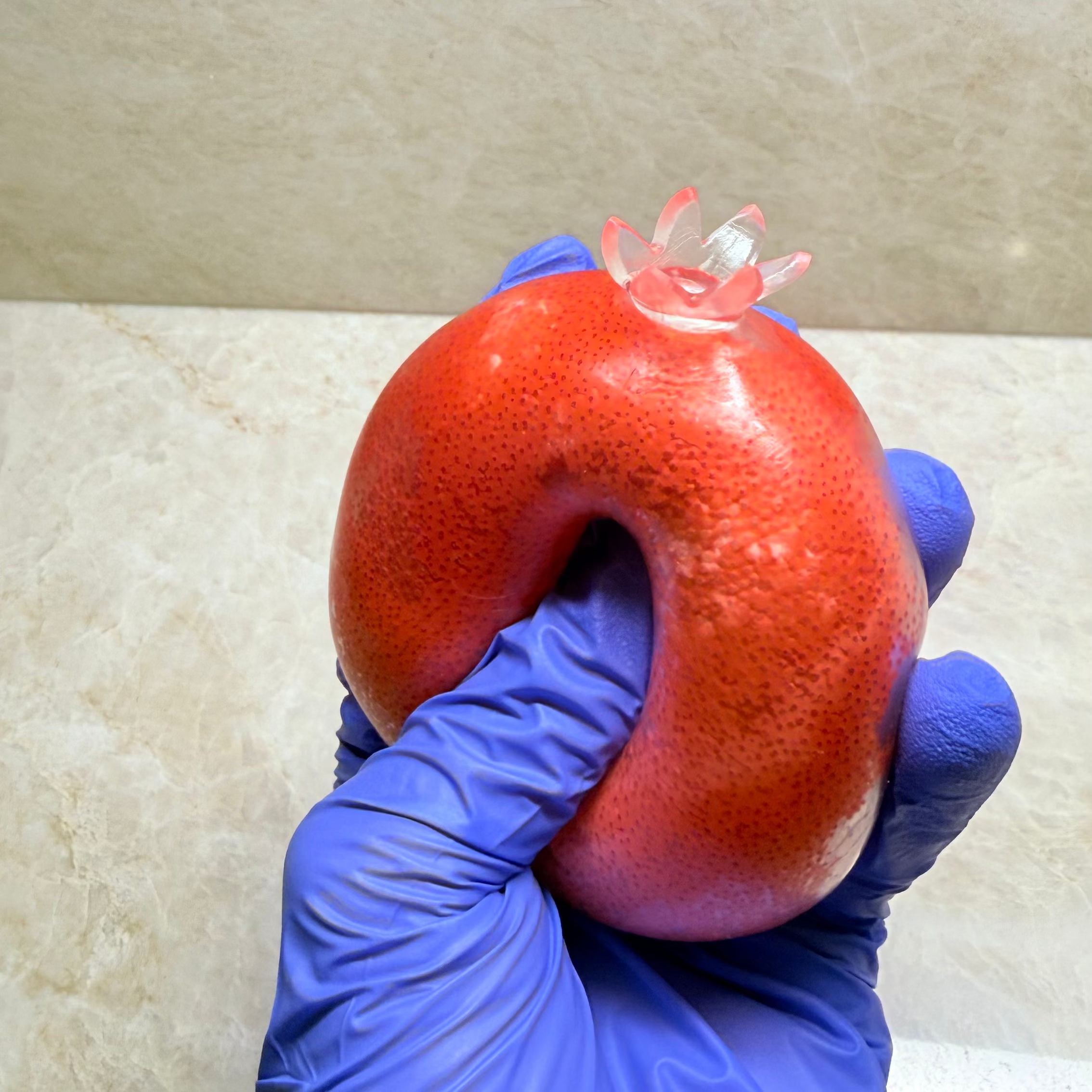 Red Berry Squishy
